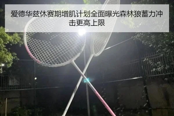 爱德华兹休赛期增肌计划全面曝光森林狼蓄力冲击更高上限